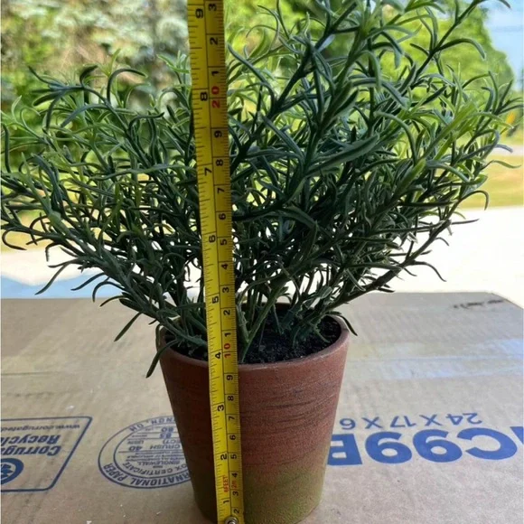 ARTIFICIAL ROSEMARY PLANT IN RUSTIC POT - Picture 5 of 6